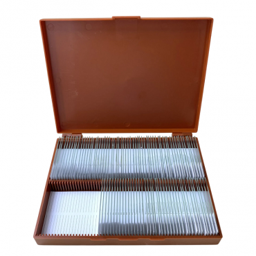 Комплект микропрепаратов по анатомии, ботанике, зоологии, общей биологии - «globural.ru» - Москва