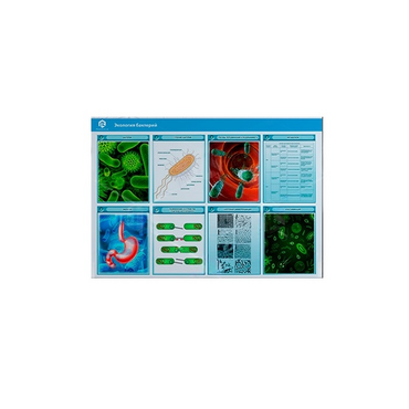 Стенд-планшет светодинамический «Изучение экологии бактерий» - «globural.ru» - Москва