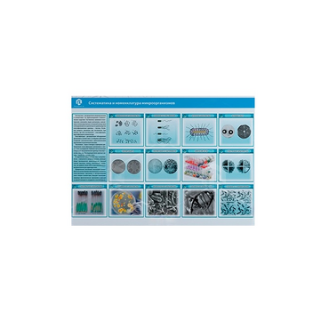 Стенд-планшет светодинамический «Изучение систематики и номенклатуры микроорганизмов» - «globural.ru» - Москва