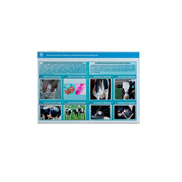 Стенд-планшет светодинамический «Изучение асептических и гнойных воспалительных процессов» - «globural.ru» - Москва