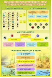 Стенд "Классификация животного мира" - «globural.ru» - Москва