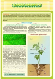 Стенд "Фотосинтез" - «globural.ru» - Москва