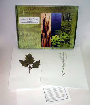 Гербарий "Сорные растения" (24 вида) - «globural.ru» - Москва